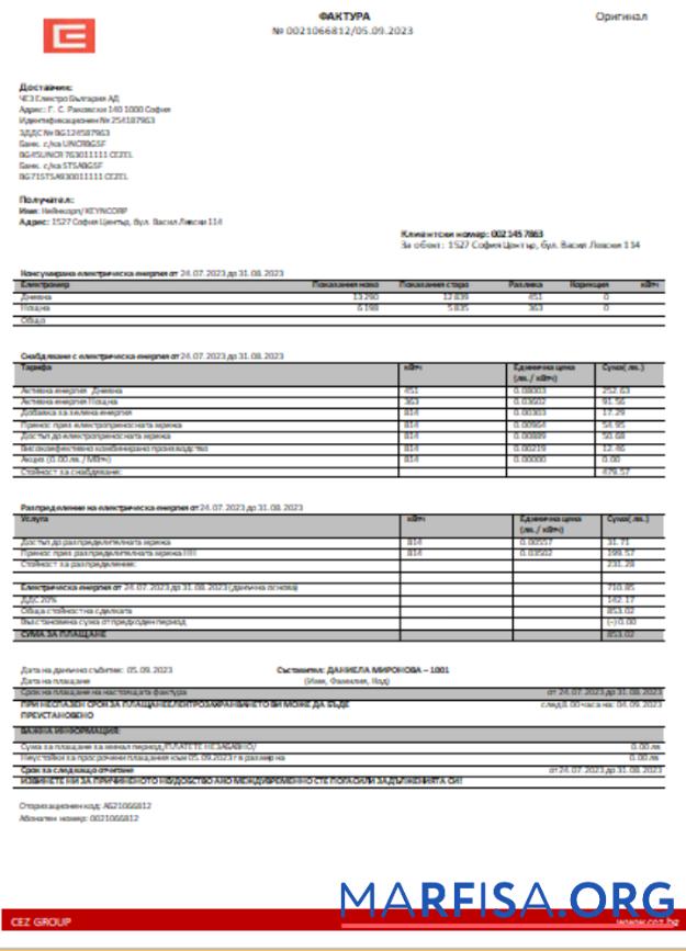 Blank Bulgary electricity business bill, SCR sample